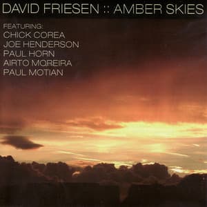 Amber Skies - David Friesen