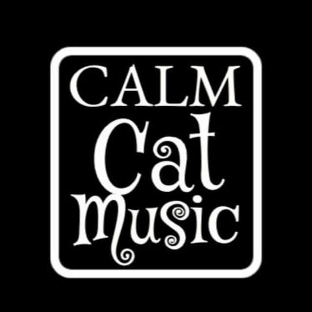 Calm Cat Music