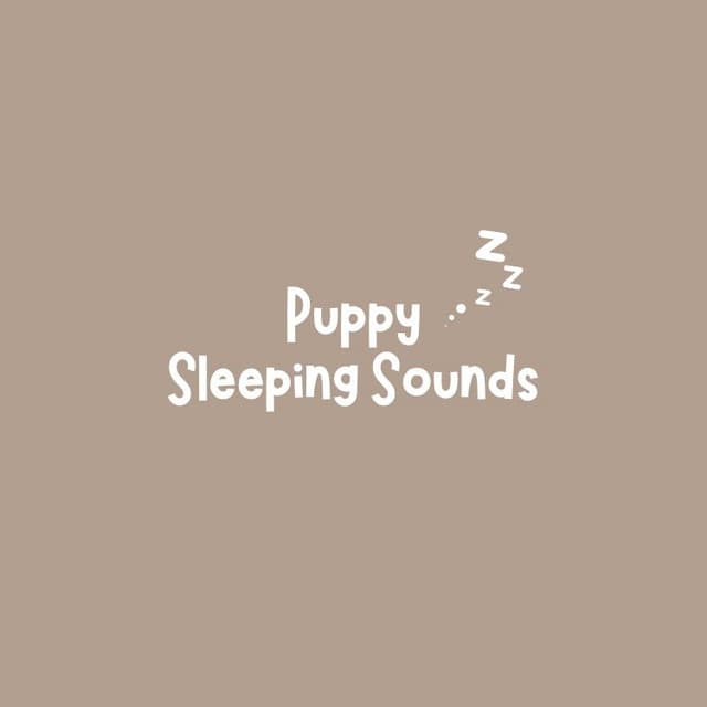 Puppy Sleeping Sounds