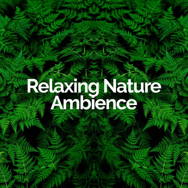 Relaxing Nature Ambience