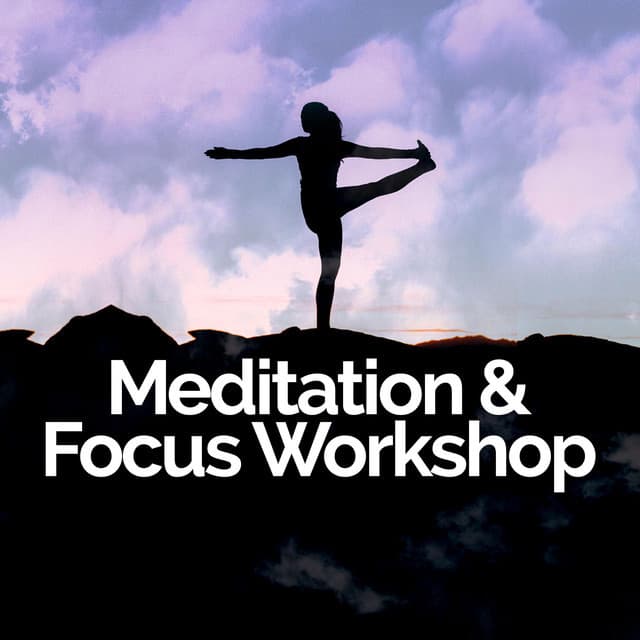 Meditation & Focus Workshop