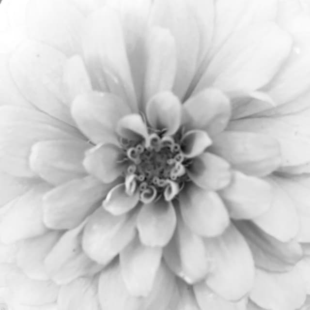 Relaxing Guitar for Massage, Yoga and Meditation