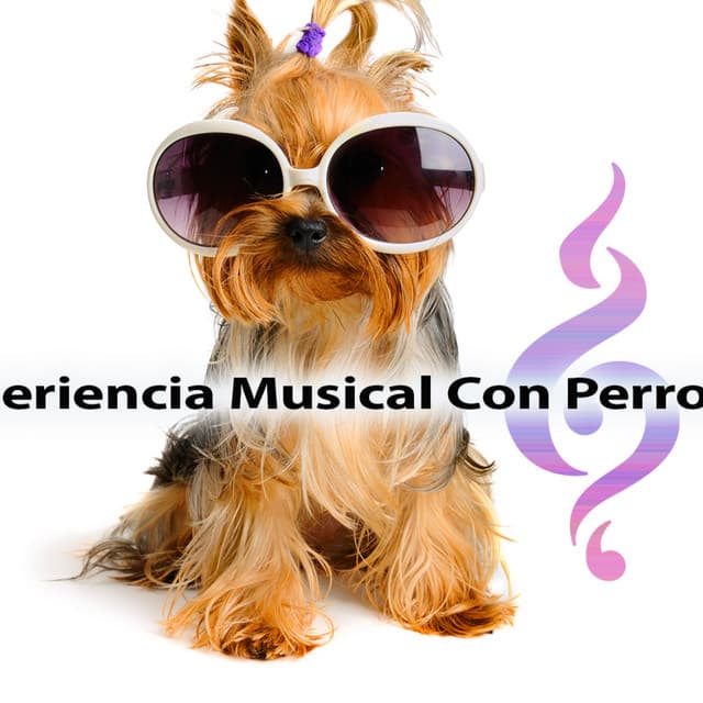 Experiencia Musical Con Perros