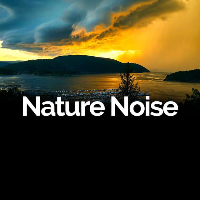 Nature Noise