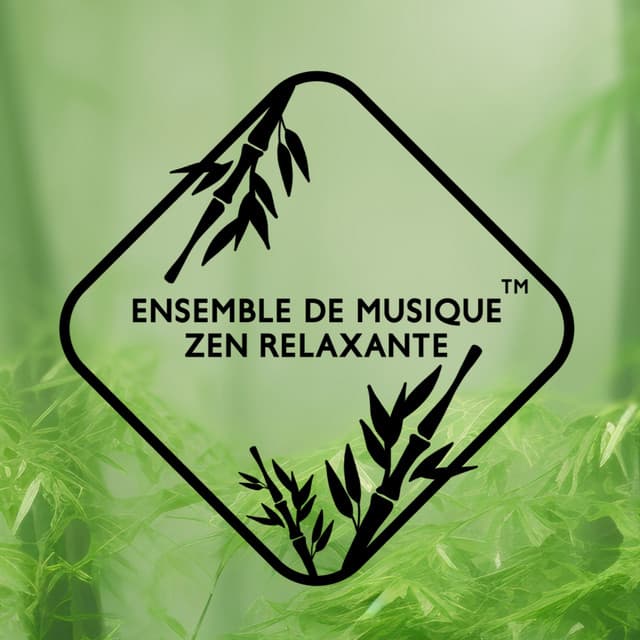 Ensemble de Musique Zen Relaxante