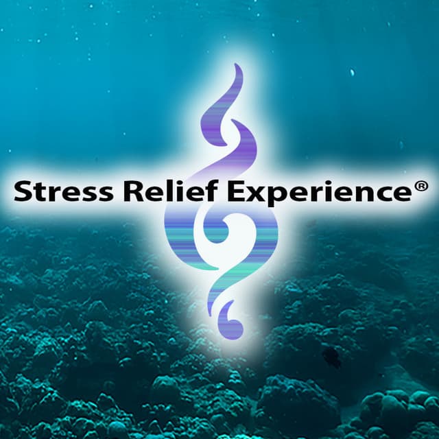 Stress Relief Experience