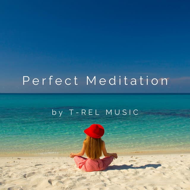 Perfect Meditation