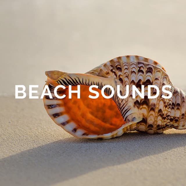 Beach Sounds