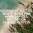 Sounds of Nature White Noise for Mindfulness, Meditation and Relaxation