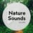 Nature Sounds by Lullify