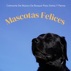Mascotas Felices: Calmante De Música De Bosque Para Gatos Y Perros - Sonidos Del Bosque