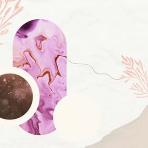 Music for Quiet Day Moods - Dinner Table Jazz Dream