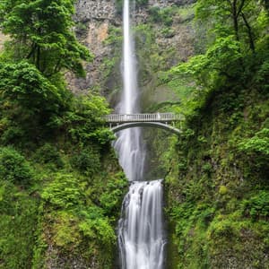 Peaceful Melodies for Healing - The Sleep Specialist