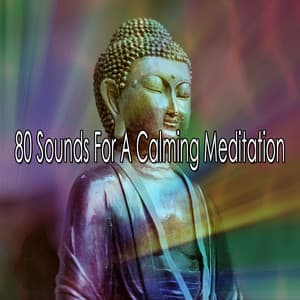 80 Sounds For A Calming Meditation - Asian Zen Spa Music Meditation