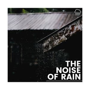 The Noise of the Rain - Gentle Rain Makers
