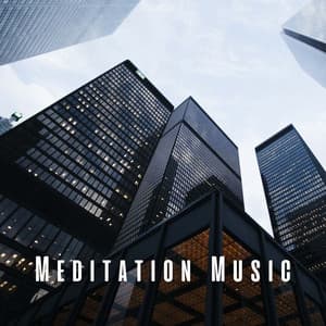 Meditation Music: The Work Day Symphony - Soft Sounds