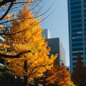 Autumn in Akihabara - Asian Lofi