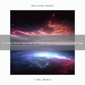 A Lovely Noise Specially For Carpe Diem Perfet Karma, Tired Nap - Looped White Noise