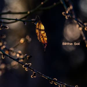 Screen Off Signal - BlitheSol