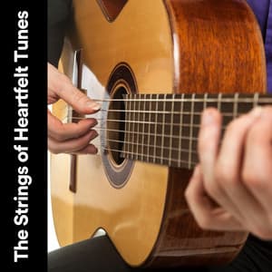 The Strings of Heartfelt Tunes - Guitar Calm
