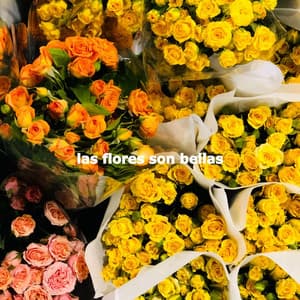 las flores son bellas - Coffee Table Jazz Romance