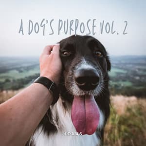 4Paws: A Dog's Purpose Vol. 2 - Dog Music