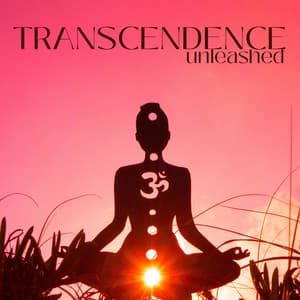 Transcendence Unleashed: Meditation for Expanding Your Seven Chakras - Chakra Balancing Music Oasis
