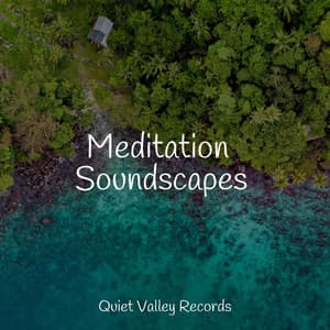 Meditation Soundscapes - Nature Sounds Nature Music