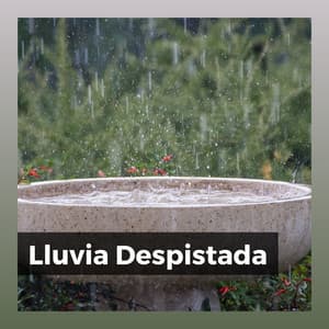 Lluvia Despistada - Sonidos De Lluvia