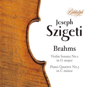 Brahms: Chamber Works - Johannes Brahms