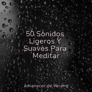 50 Sonidos Ligeros Y Suaves Para Meditar - Lullabies for Deep Meditation