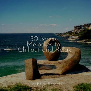 50 Stress Melodies to Chillout and Relax - Naturaleza Sonidos