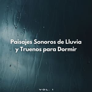 Paisajes Sonoros De Lluvia Y Truenos Para Dormir Vol. 1 - Sonidos De Truenos y Lluvia