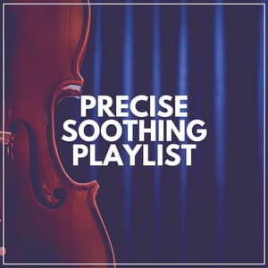 Precise Soothing Playlist - Classical Chillout