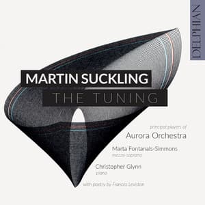 Martin Suckling: The Tuning - Martin Suckling