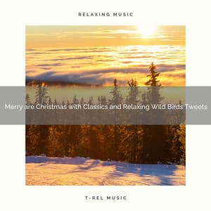 Merry are Christmas with Classics and Relaxing Wild Birds Tweets - Epic Soundscapes