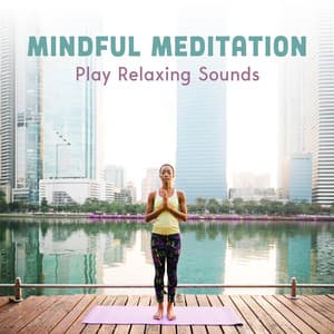 Mindful Meditation - Human Mind Universe