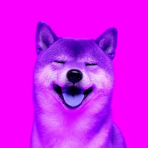 Jazz Piano Duo - Ambiance for Puppy Training Time - Separation Anxiety Dog Music