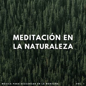 Meditación En La Naturaleza: Música Para Descansar En La Montaña Vol. 1 - Ecos Débiles