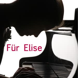 Für Elise - Giuliano Sacchetto-Giordano Trivellato