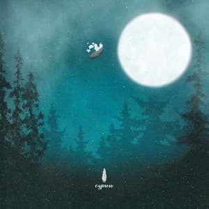 Collection Of Soothing Sleep Music For Bedtime 16 - Anastasia Lee