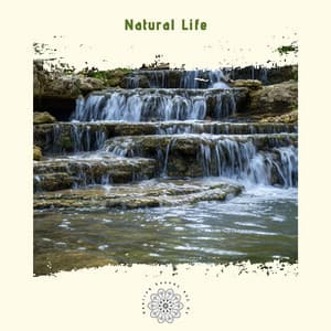 Natural Life: Harmonizing with the Earth’s Rhythms - Healing Sounds 432 Hz