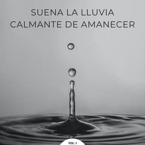 Suena La Lluvia Calmante De Amanecer Vol. 1 - Bonitos ruidos de lluvia