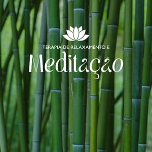 Terapia de Relaxamento e Meditação - Academia de Música para Massagem e Relaxamento