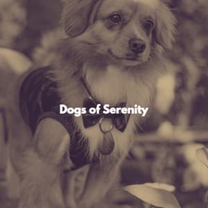 Dogs of Serenity - Good Morning Music