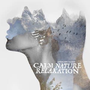 Calm Nature Relaxation - Nature Bird Sounds