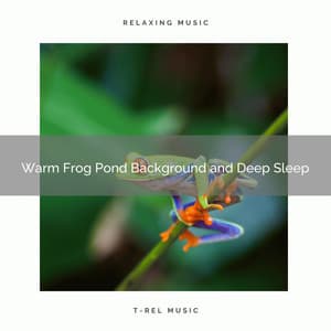 2020 Best: Warm Frog Pond Background and Deep Sleep - Nature on Record