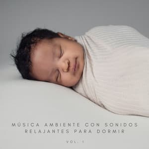 Música Ambiente Con Sonidos Relajantes Para Dormir Vol. 1 - Musica Para Dormir