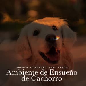 Ambiente de Ensueño de Cachorro - Música Relajante para Perros