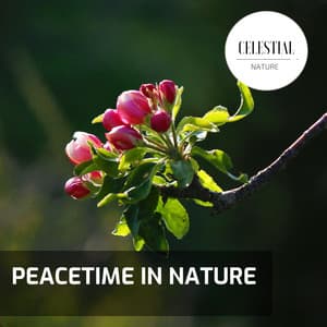 Peacetime in Nature - Nature Radiance